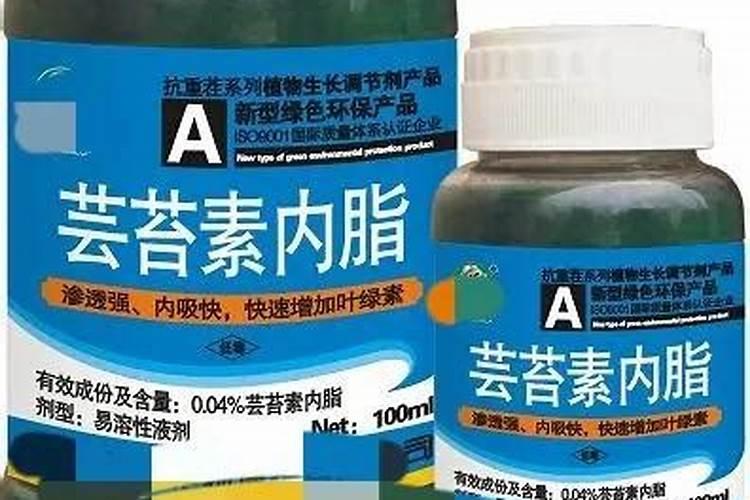 芸苔素几天打一次合适