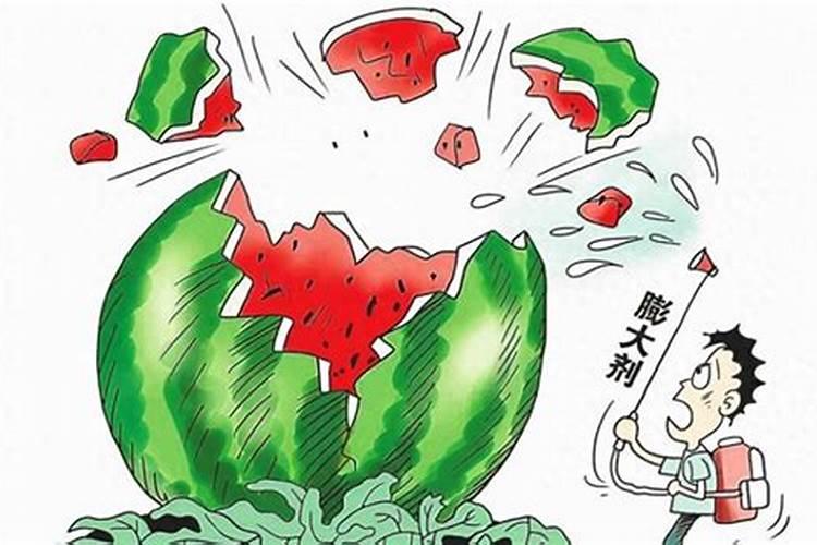 莲雾叶子发黄怎么办