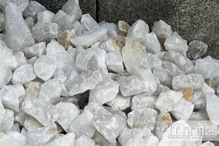 月季缺肥的表现