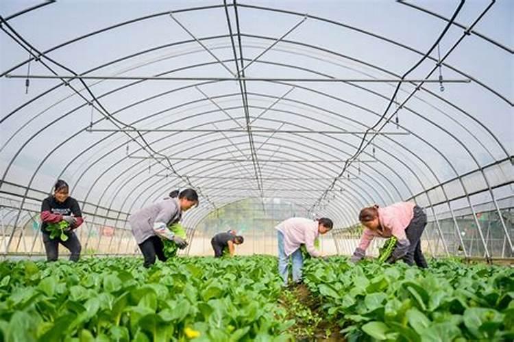 国内比较好水溶肥厂家有哪些