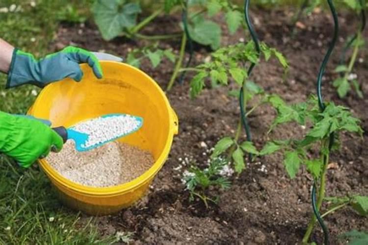 天然的磷钾肥有哪些 天然的磷钾肥有