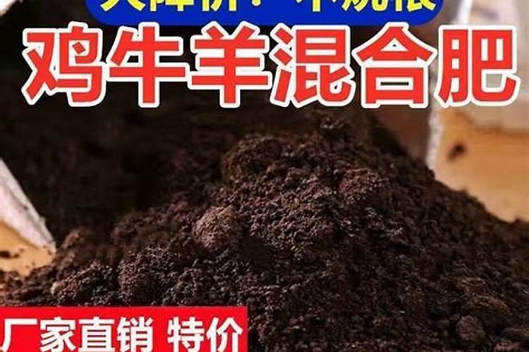 蔬菜缺硼会出现哪些症状？