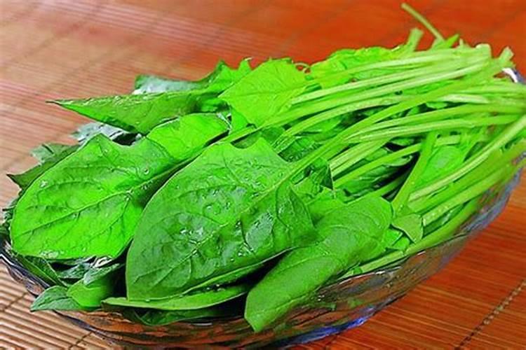 施什么肥白菜长的最茂盛