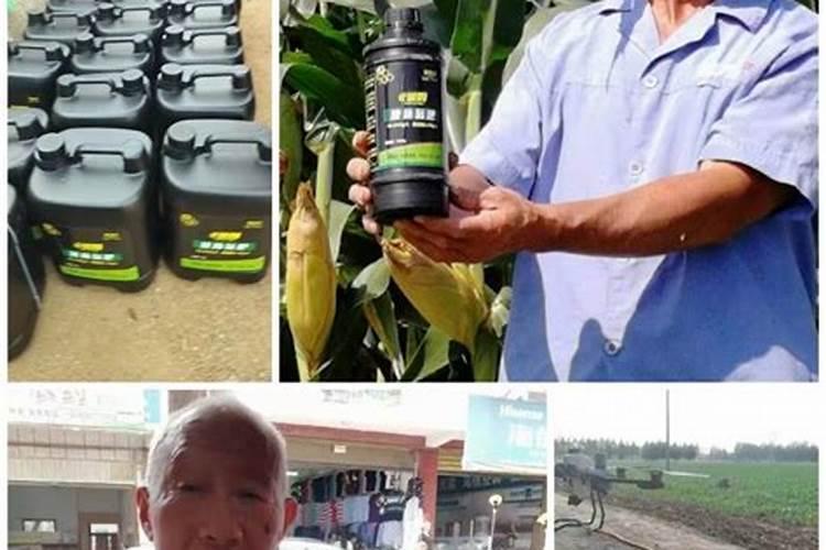 冲施肥多长时间见效