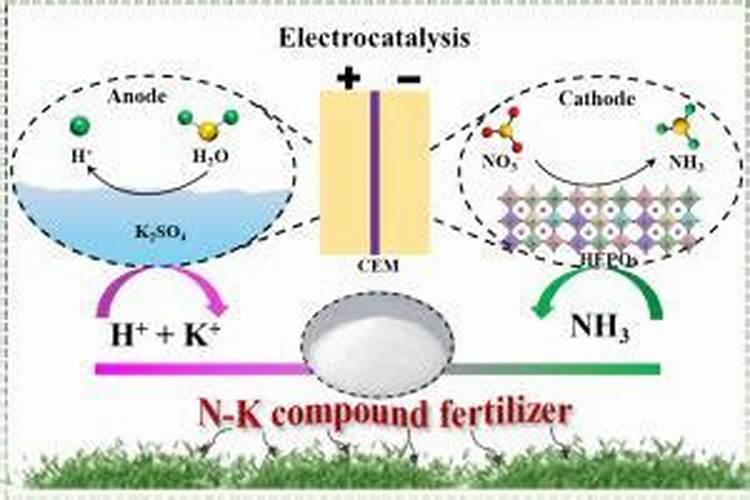 磷的肥料有哪些