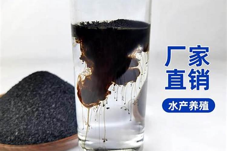 真正的物联网龙头股一览