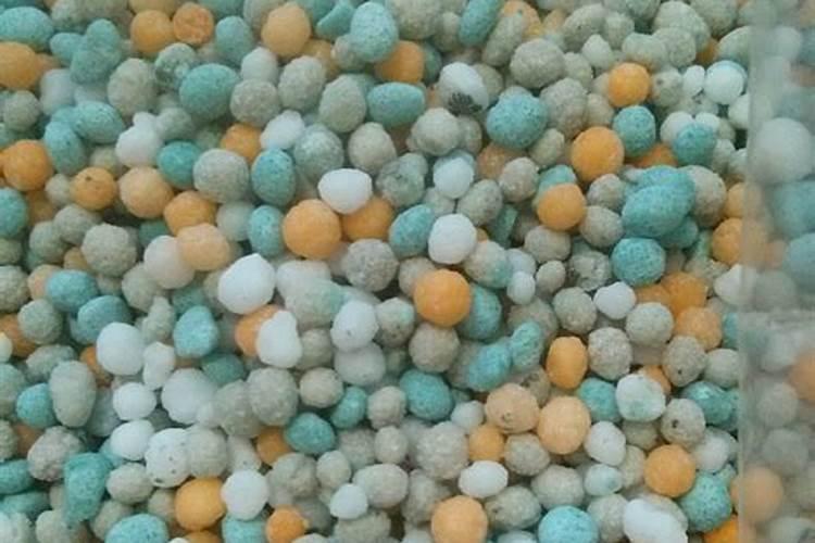 怎么判断大豆盛花期？