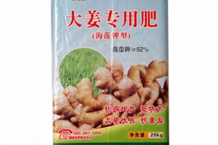 大姜种植用什么肥就选生物有机菌肥大姜有机肥