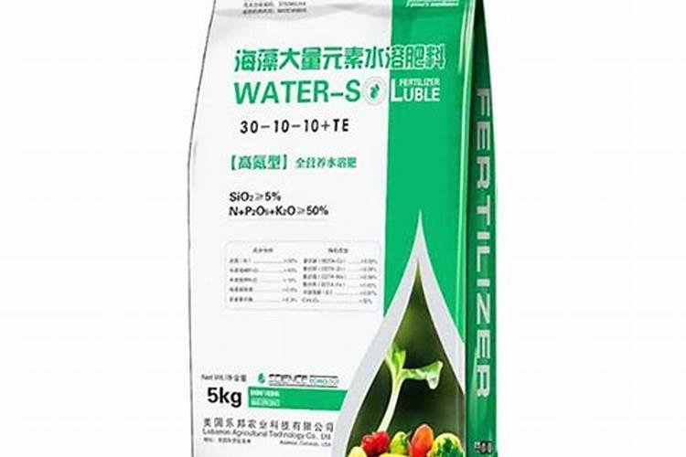 草莓要用什么肥料来促进生长