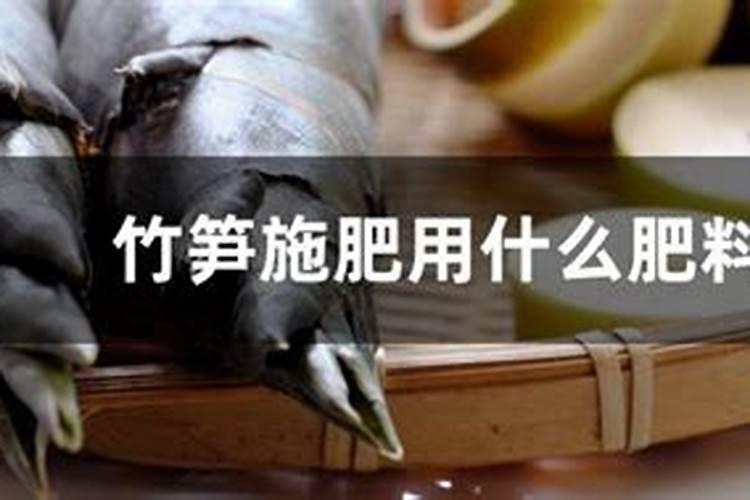 为什么竹子长得特别快？