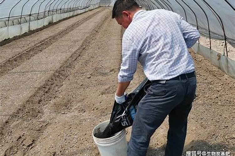 钾肥是什么肥料 植物缺少钾肥会怎么样