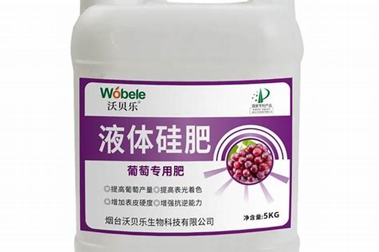 硅肥在大棚葡萄上什么时间用最好？