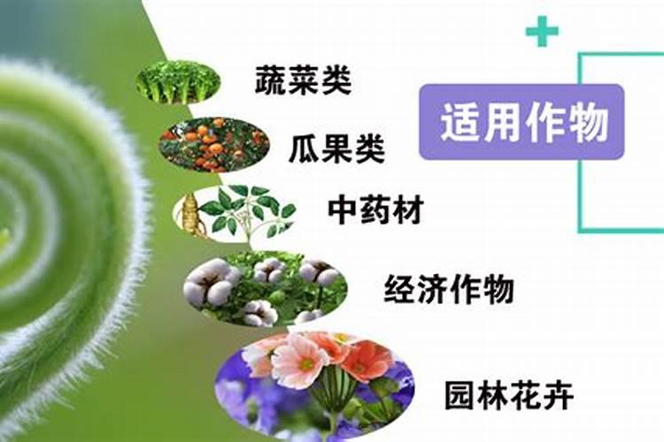 甲壳素叶面喷施的好处