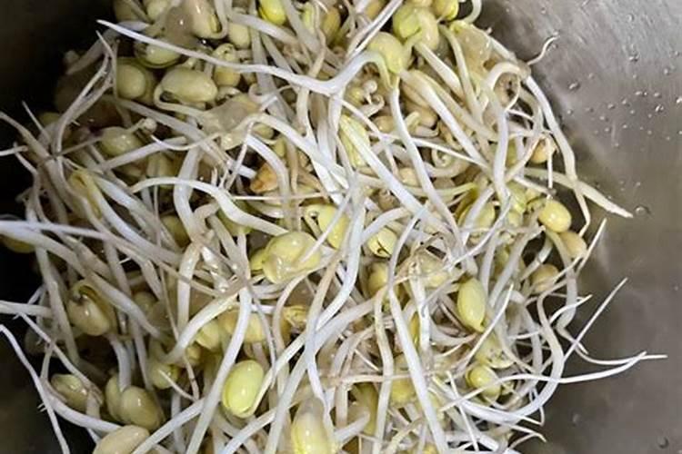 三棱箭仙人掌有几种