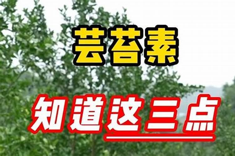 芸苔素多久喷一次,什么时候不能喷,什么情况下使用