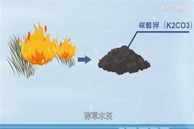 一斤草木灰顶多少钾肥