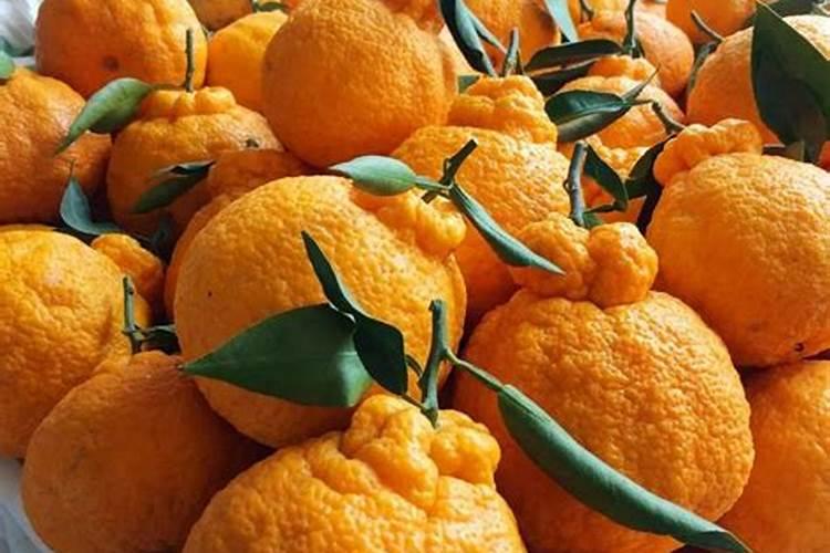 鱼蛋白肥料的功效与作用