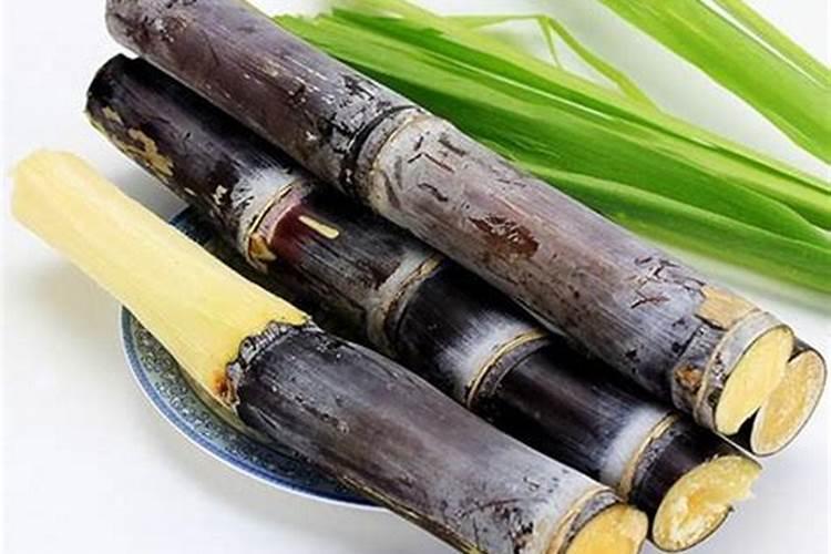 甘蔗十大最佳肥料