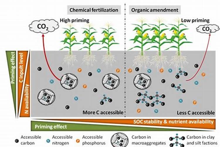 有机肥被微生物分解成什么