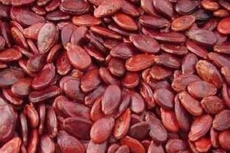 家用自制氮肥有哪些