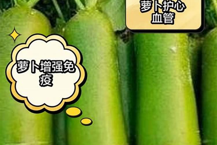 兰花春天什么时候施肥,施什么肥