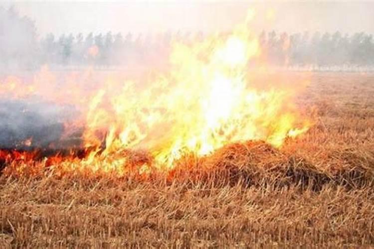 禾本科作物秸秆还田时为什么要配施速效性化学氮肥