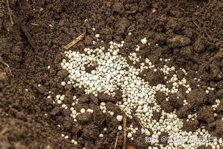 磷酸二氢钾和复合肥哪个好 有什么区别