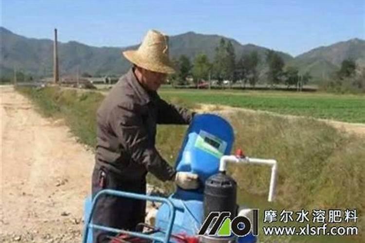 有机水溶肥料能和烯效唑合用吗