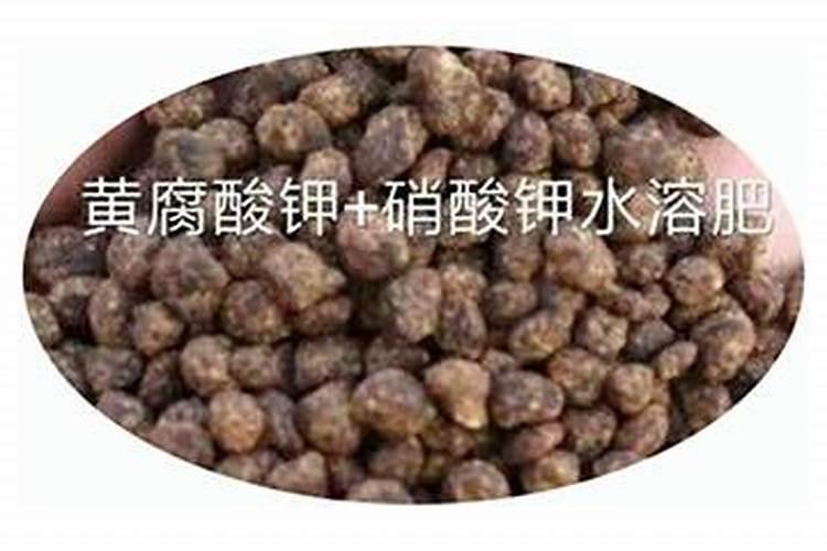 豆角用黄腐酸钾好还是硝酸钾好