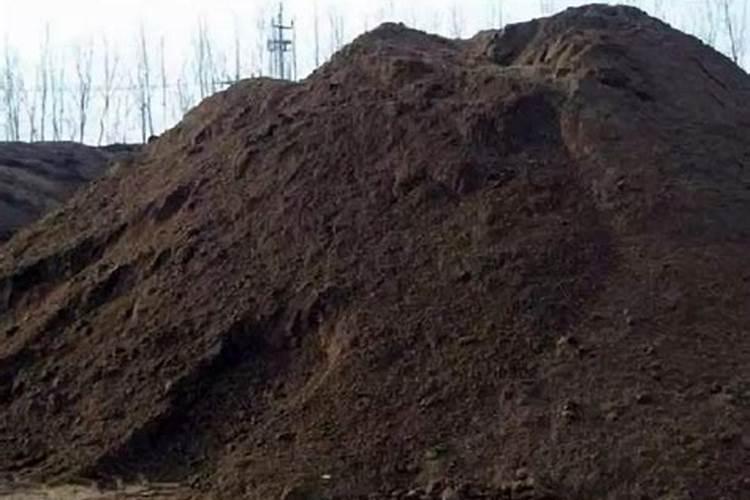 无花果树施什么肥合适