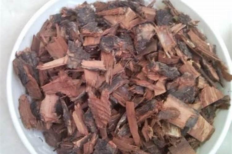 用什么肥料让松树长得快