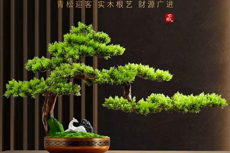 用什么肥料让松树长得快