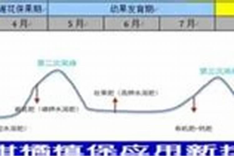 烯效唑打花生几天见效？