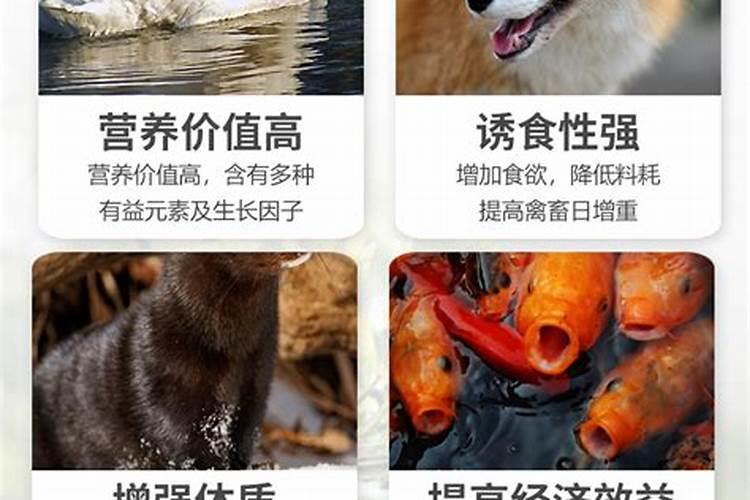 瓜果蔬菜叶面肥的正确使用方法(什么时候打叶面肥好)