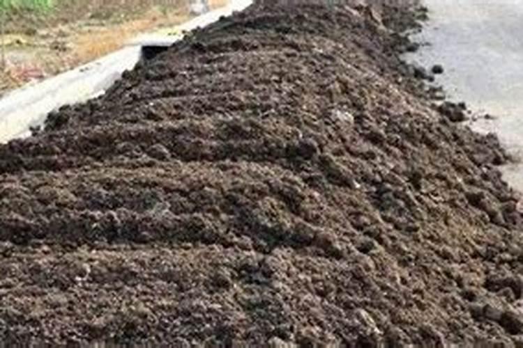 平贝母施什么肥