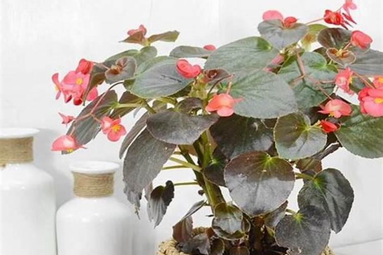 降磷的药物有哪些