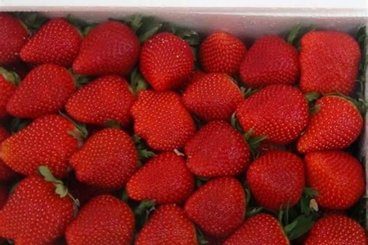 开花期间可以施肥吗