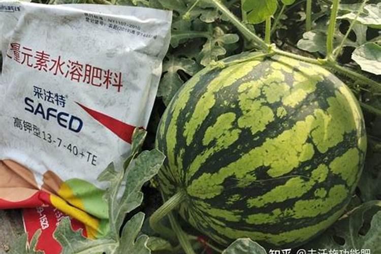 西瓜用什么肥料增甜