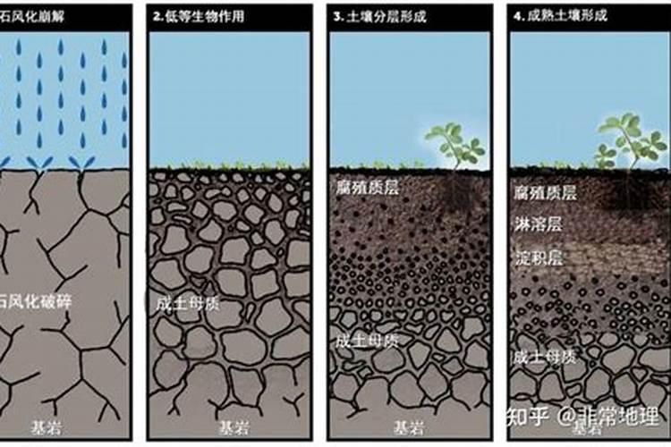营养土种多久要施肥