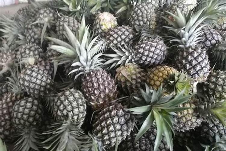 要让菠菜快速生长该用什么肥料