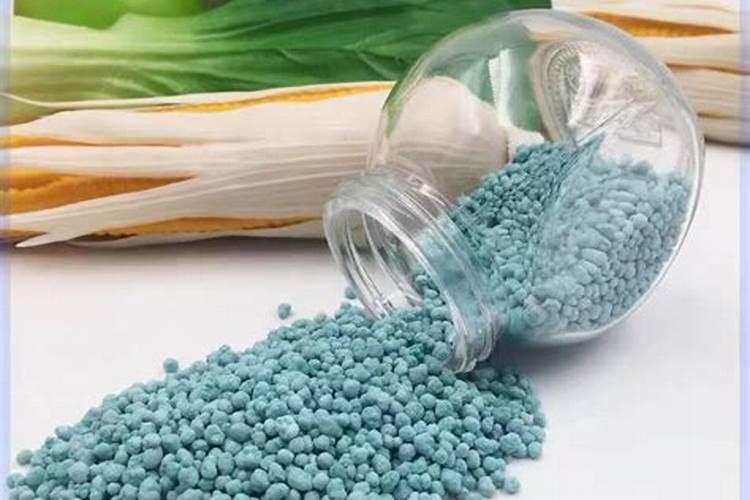 花草什么时候施肥最好 花草施肥时间