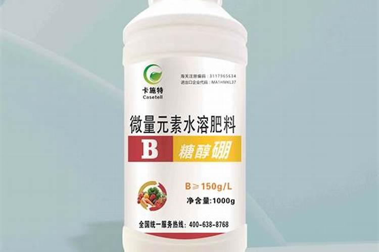 落地生根养家里吉利吗,不吉利容易破财还影响睡眠