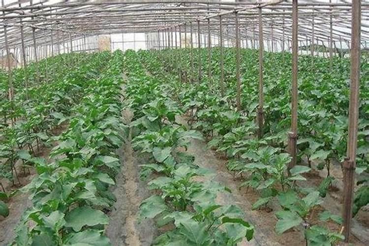 碳钢管磷化了为什么刷不上油漆