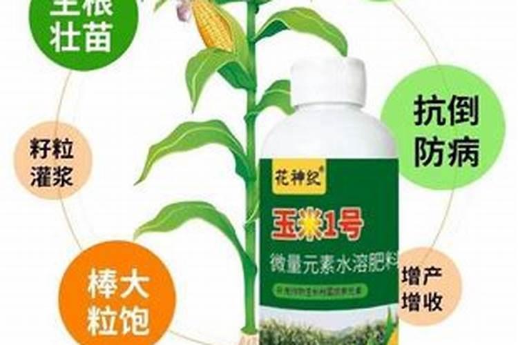 氮磷钾和氯化钾哪个肥料最好