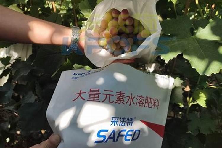 肥料的三要素是哪些元素