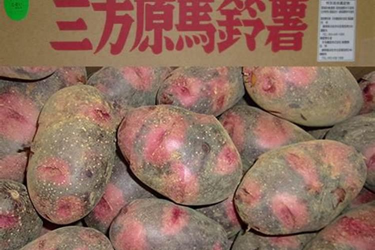 秋肥到底该如何选？高氮、平衡、高钾各有什么差别？