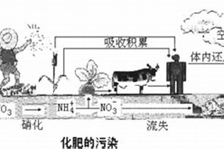 硫酸镁对苹果树果实有什么作用
