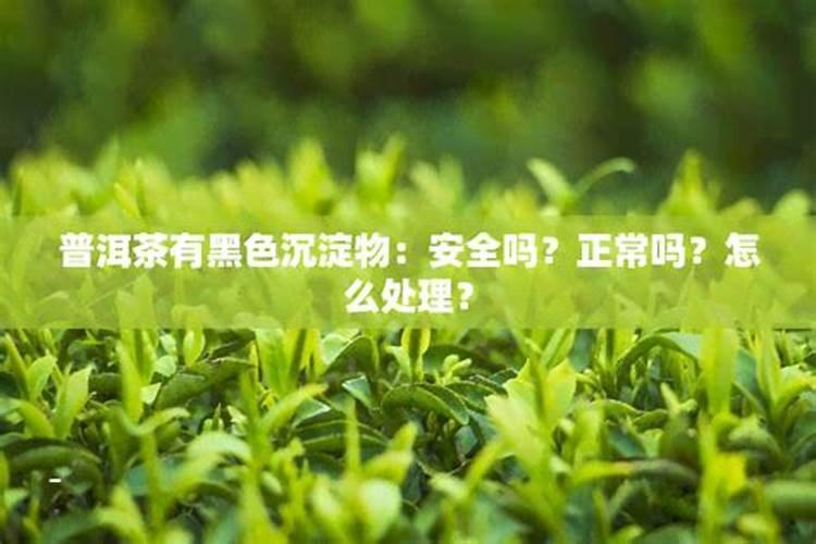 为什么说家里放薄荷不吉利