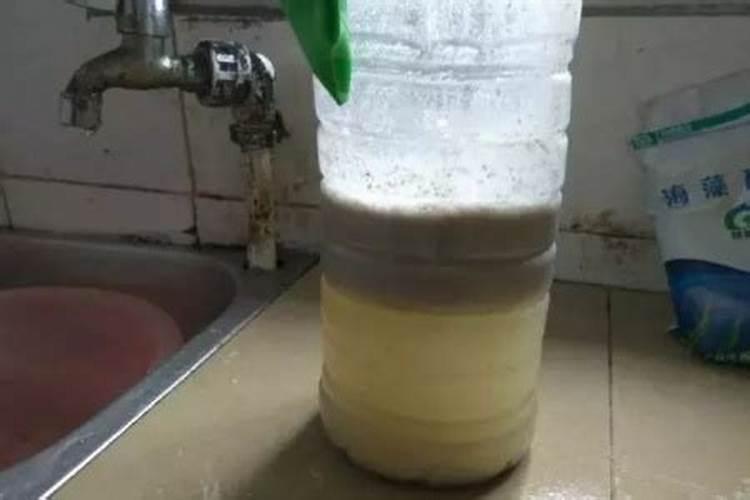 怎么自制蔬菜肥料