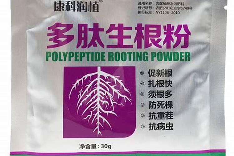 生根肥使用过程中应注意什么